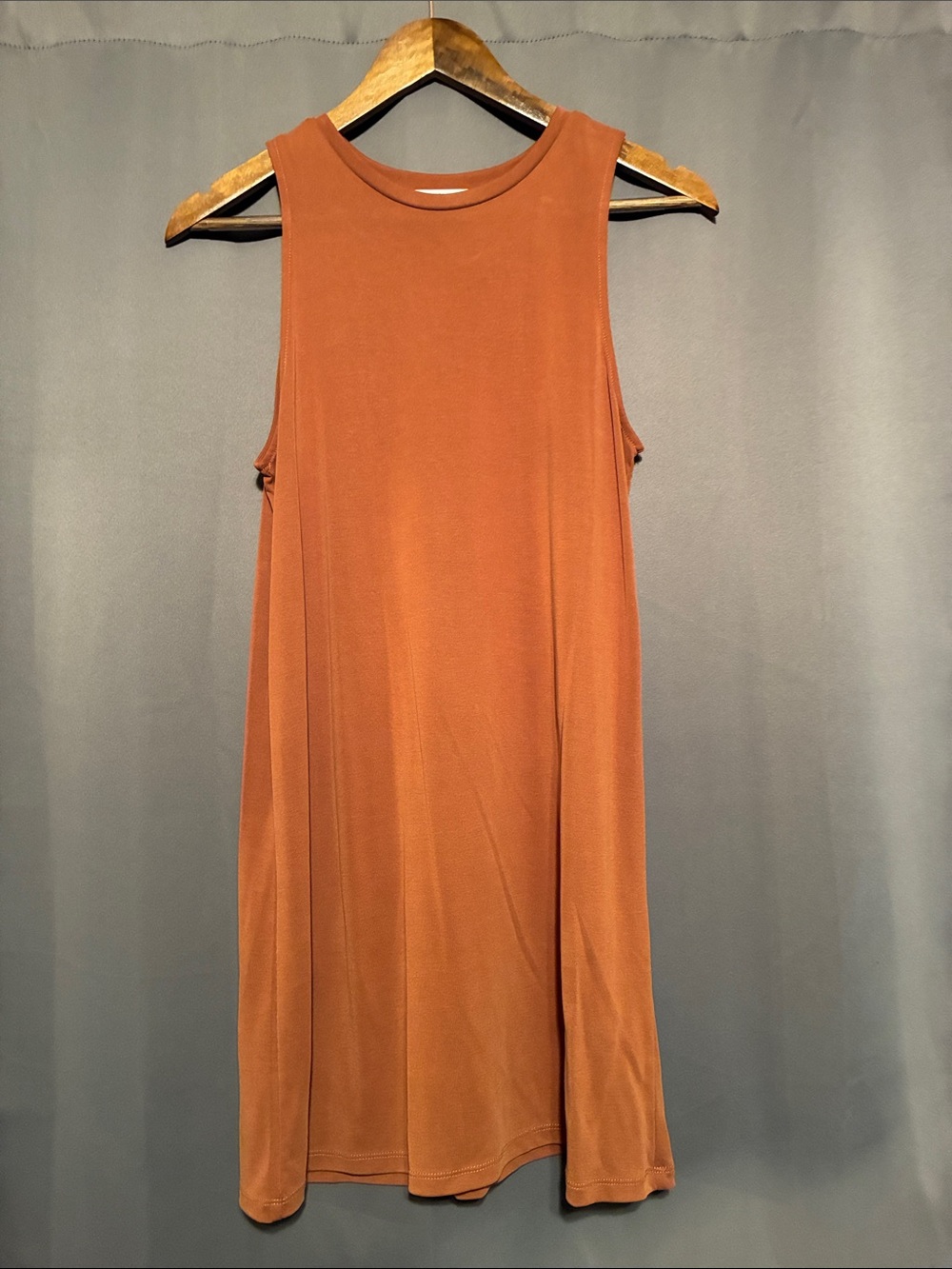 Double Zero Rust Sleeveless Tank Dress